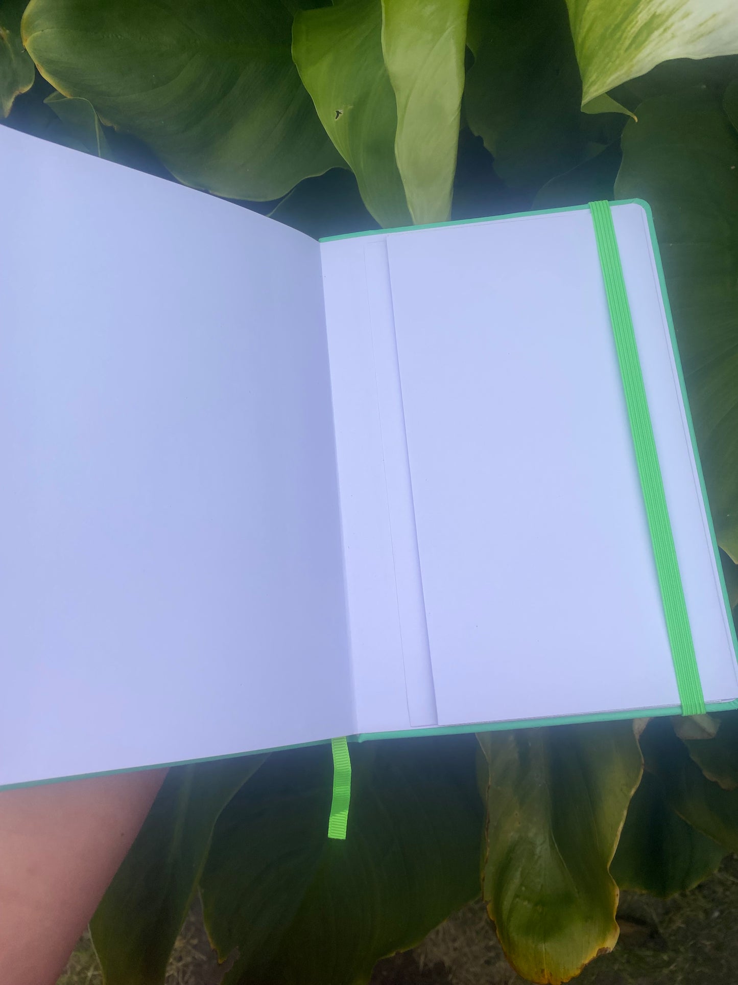 🌿 PHOENIX BULLET JOURNAL - Rebirth, Growth & Self-Discovery