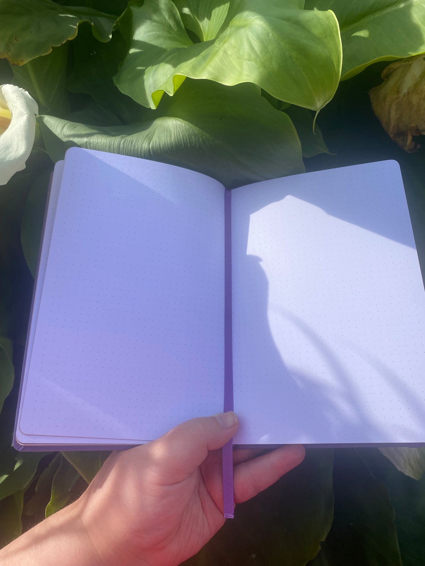 The Fairytale Bullet Journal – Build Your Own Magic