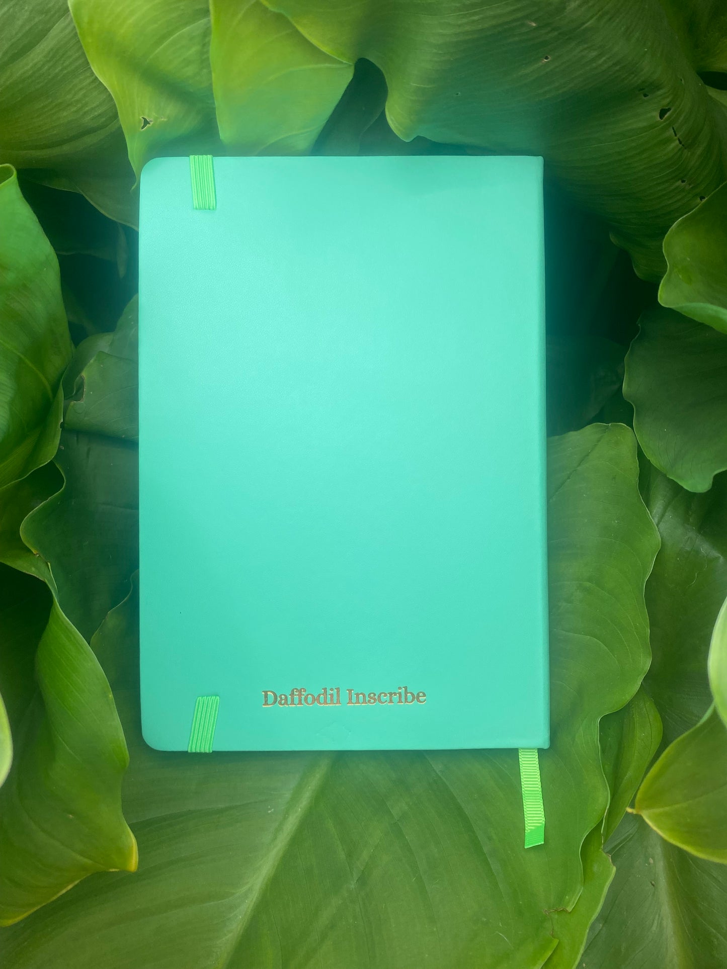 🌿 PHOENIX BULLET JOURNAL - Rebirth, Growth & Self-Discovery