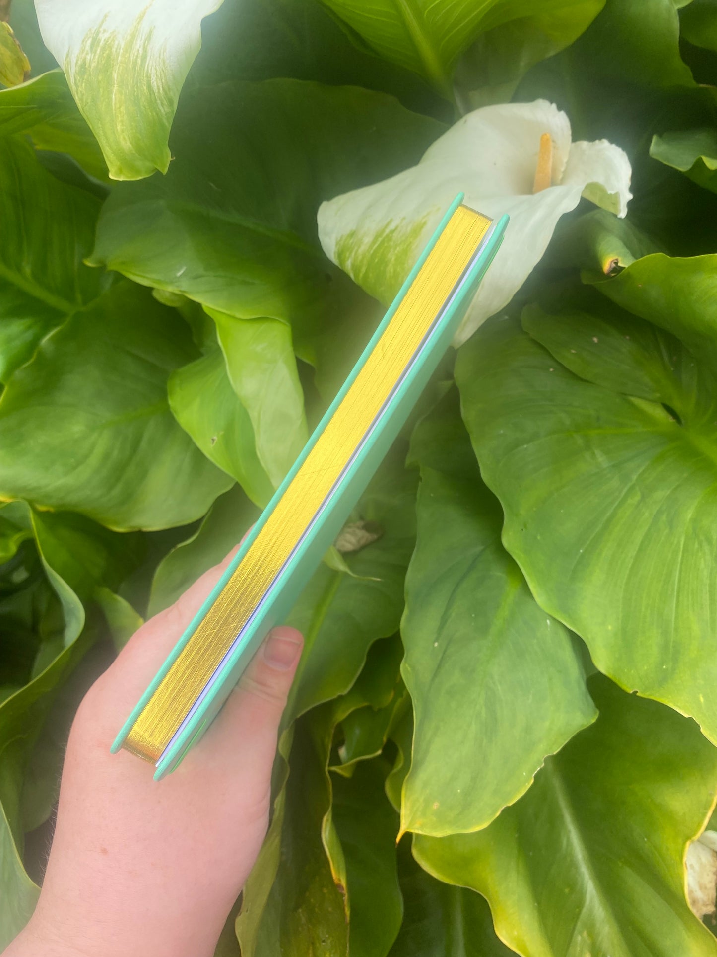🌿 PHOENIX BULLET JOURNAL - Rebirth, Growth & Self-Discovery