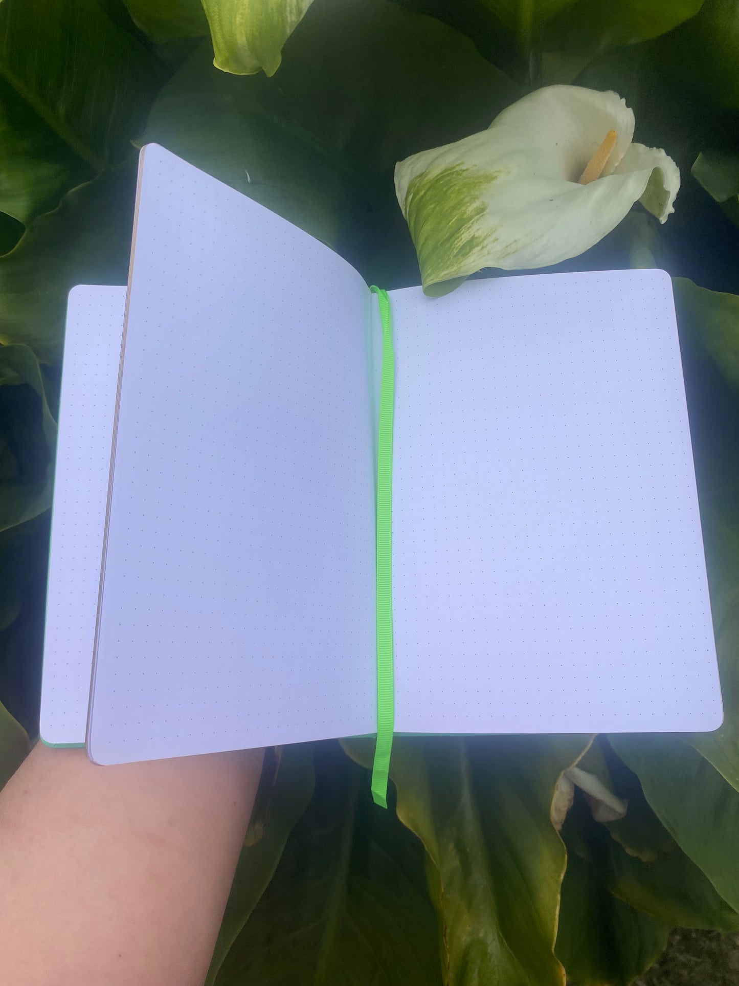 🌿 PHOENIX BULLET JOURNAL - Rebirth, Growth & Self-Discovery