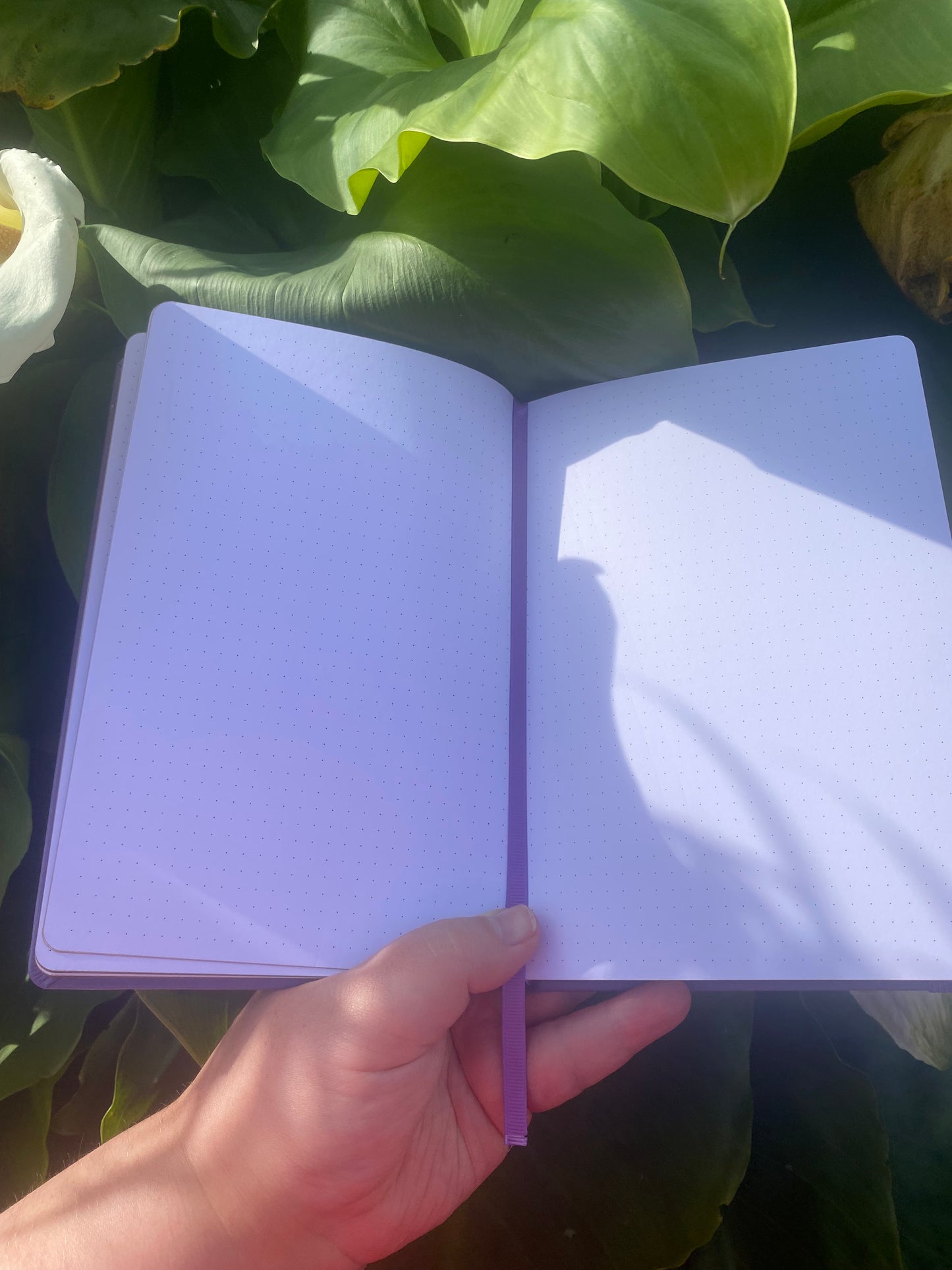 The Fairytale Bullet Journal – Build Your Own Magic